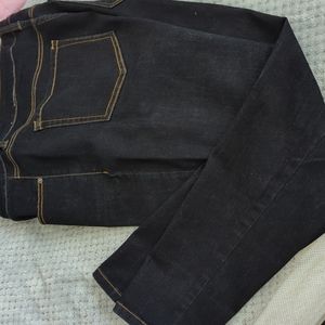 Lane Bryant skinny jean    GR3